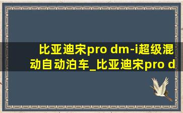 比亚迪宋pro dm-i超级混动自动泊车_比亚迪宋pro dm-i超级混动落地价